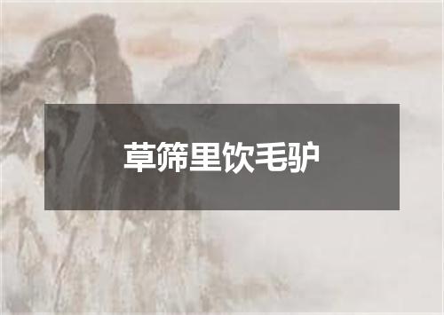 草筛里饮毛驴