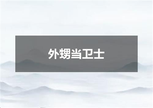 外甥当卫士