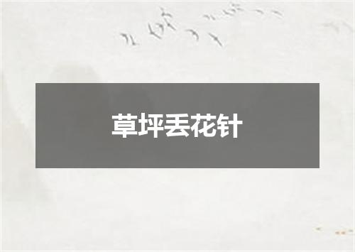 草坪丢花针