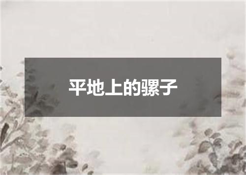 平地上的骡子