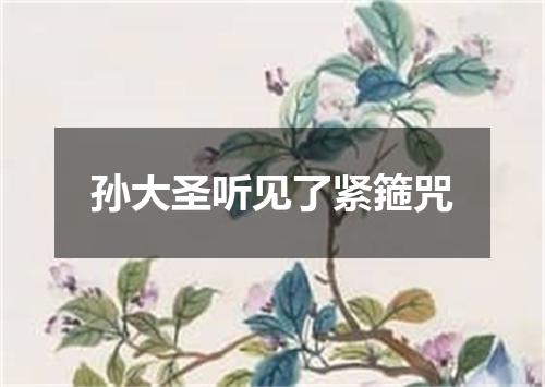 孙大圣听见了紧箍咒