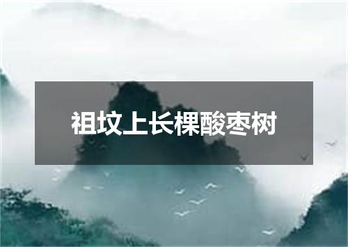 祖坟上长棵酸枣树