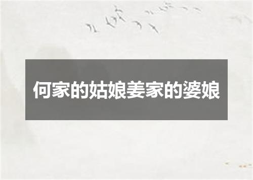 何家的姑娘姜家的婆娘