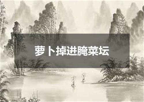 萝卜掉进腌菜坛