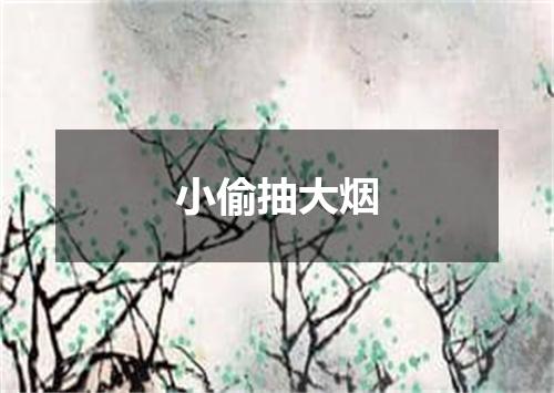 小偷抽大烟