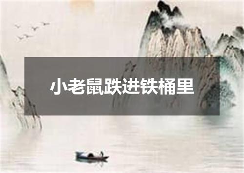 小老鼠跌进铁桶里