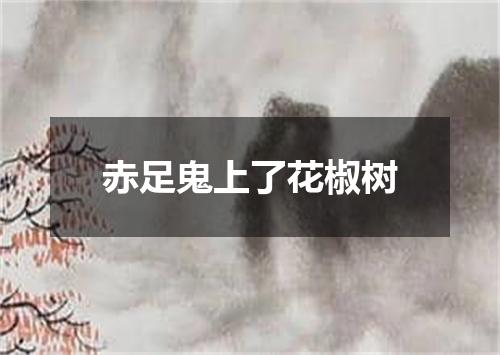 赤足鬼上了花椒树