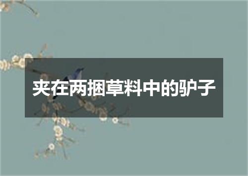 夹在两捆草料中的驴子