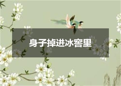 身子掉进冰窖里