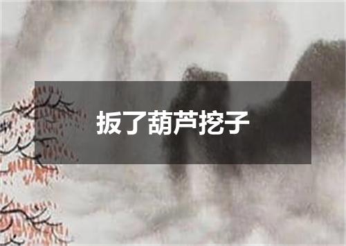 扳了葫芦挖子
