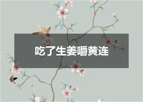 吃了生姜嚼黄连