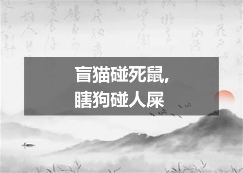 盲猫碰死鼠,瞎狗碰人屎