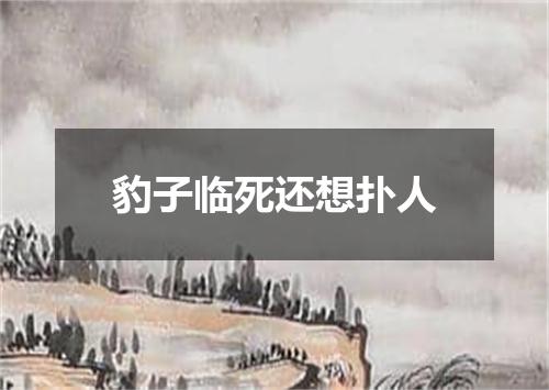 豹子临死还想扑人