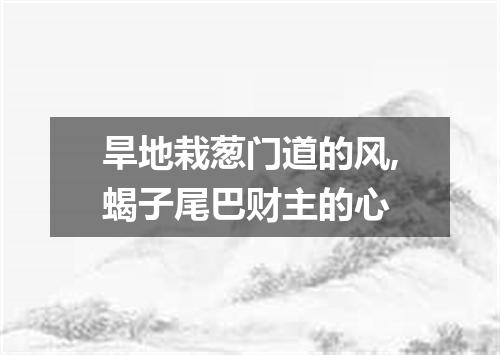 旱地栽葱门道的风,蝎子尾巴财主的心