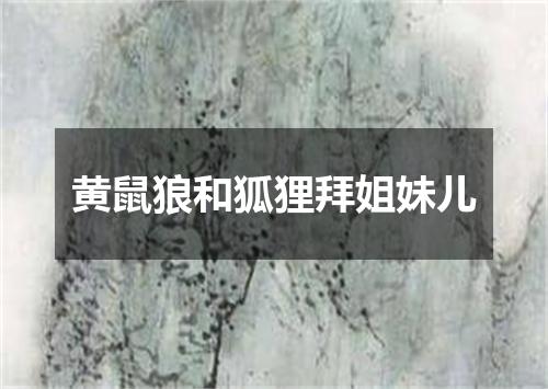 黄鼠狼和狐狸拜姐妹儿