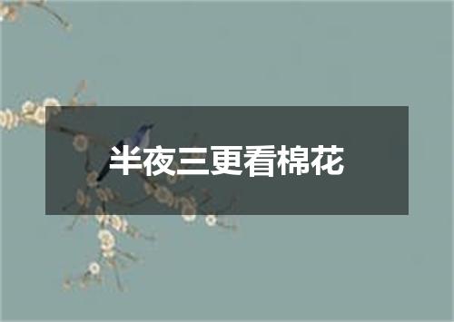 半夜三更看棉花