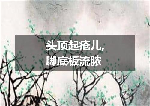 头顶起疮儿,脚底板流脓