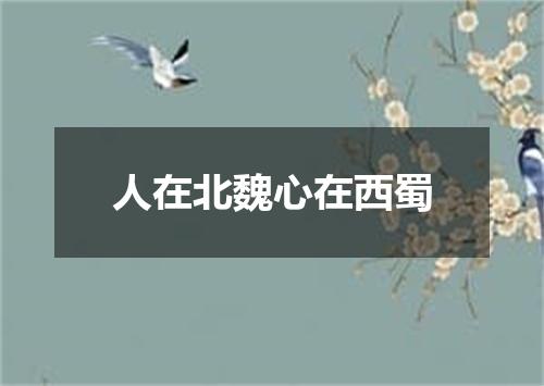 人在北魏心在西蜀