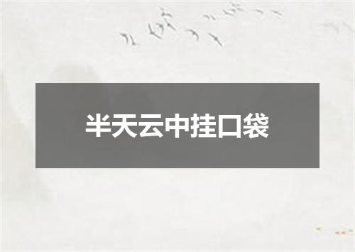 半天云中挂口袋
