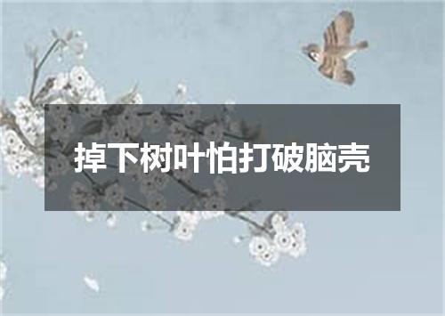 掉下树叶怕打破脑壳