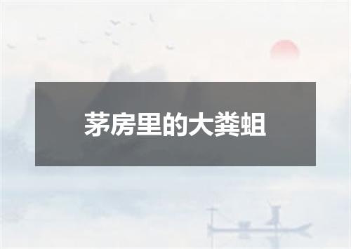 茅房里的大粪蛆