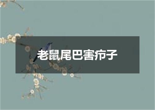老鼠尾巴害疖子