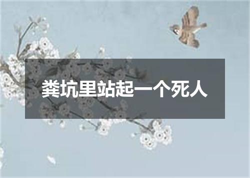 粪坑里站起一个死人