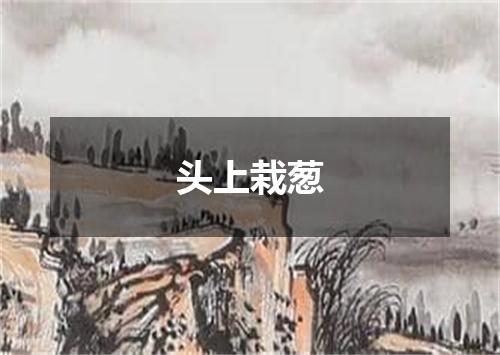 头上栽葱