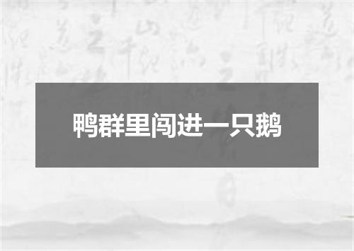 鸭群里闯进一只鹅
