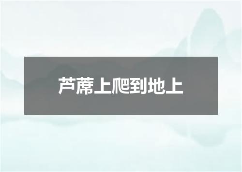 芦蓆上爬到地上
