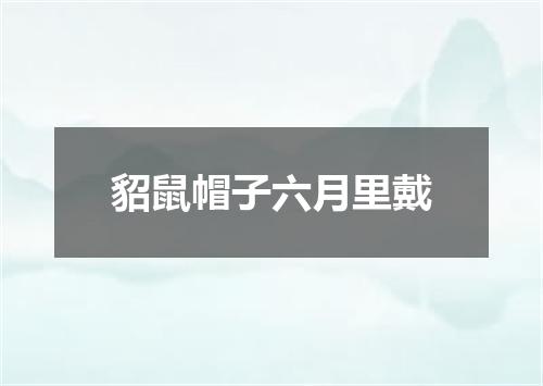 貂鼠帽子六月里戴