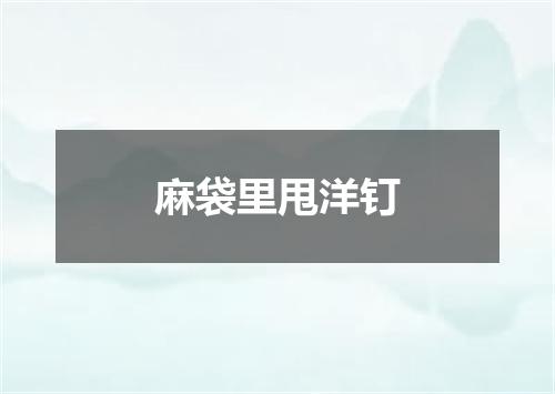 麻袋里甩洋钉