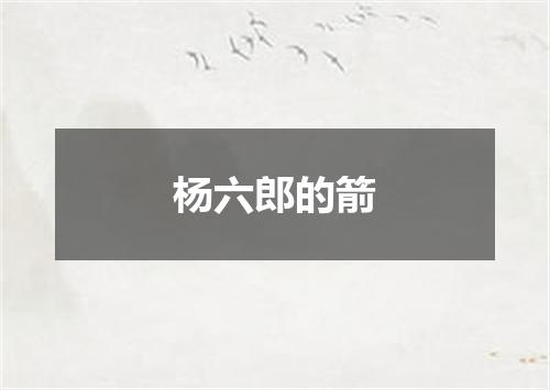 杨六郎的箭