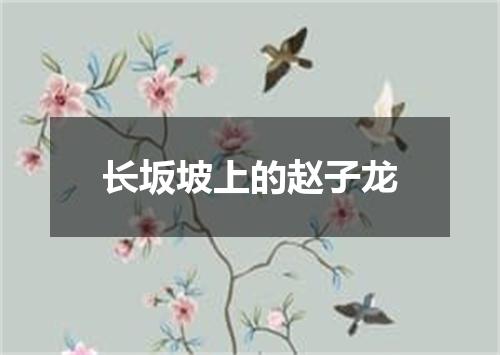 长坂坡上的赵子龙