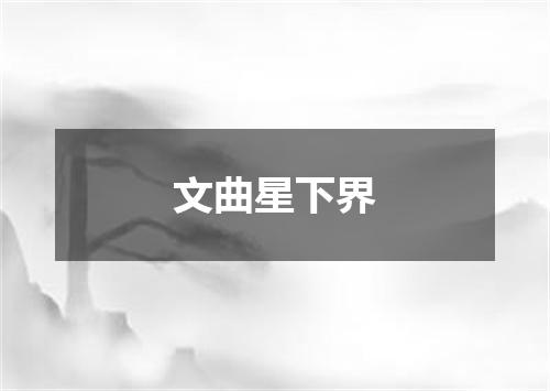 文曲星下界