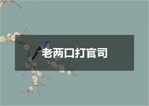 老两口打官司