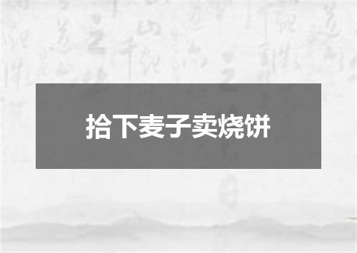 拾下麦子卖烧饼