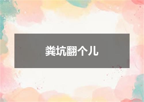 粪坑翻个儿