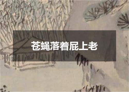 苍蝇落着屁上老