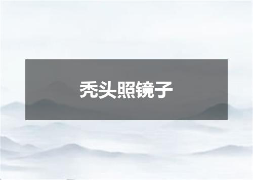 秃头照镜子