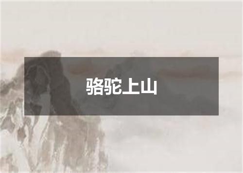 骆驼上山