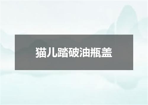 猫儿踏破油瓶盖