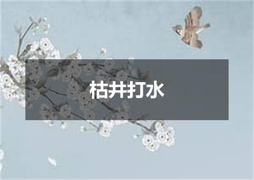 枯井打水