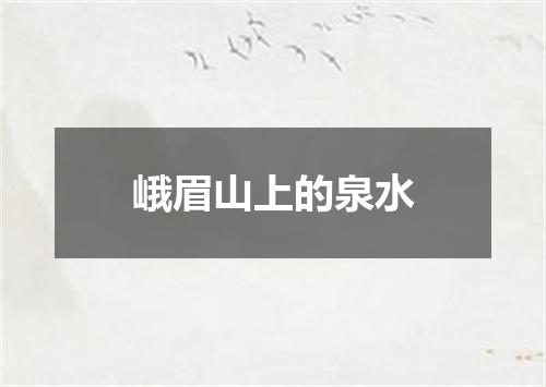 峨眉山上的泉水