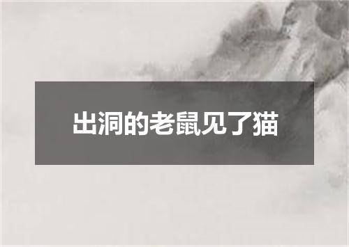 出洞的老鼠见了猫