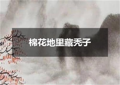 棉花地里藏秃子