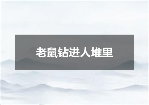 老鼠钻进人堆里