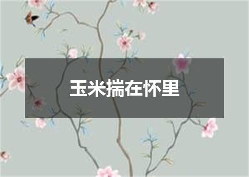 玉米揣在怀里