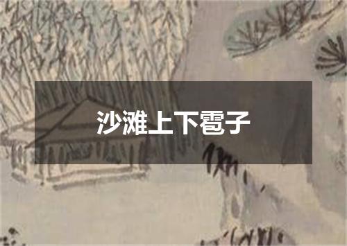 沙滩上下雹子
