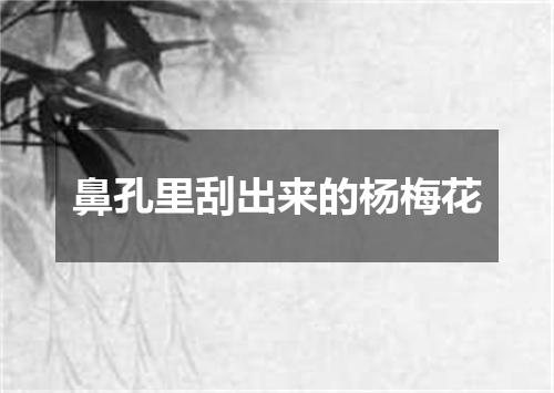鼻孔里刮出来的杨梅花